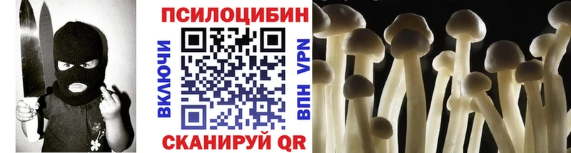 наркота  Аргун  Галлюциногенные грибы прущие грибы 