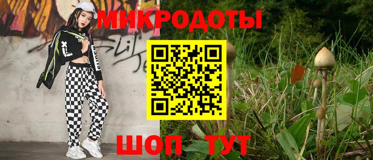 Аргун  Псилоцибиновые грибы мицелий  Вход с VPN 