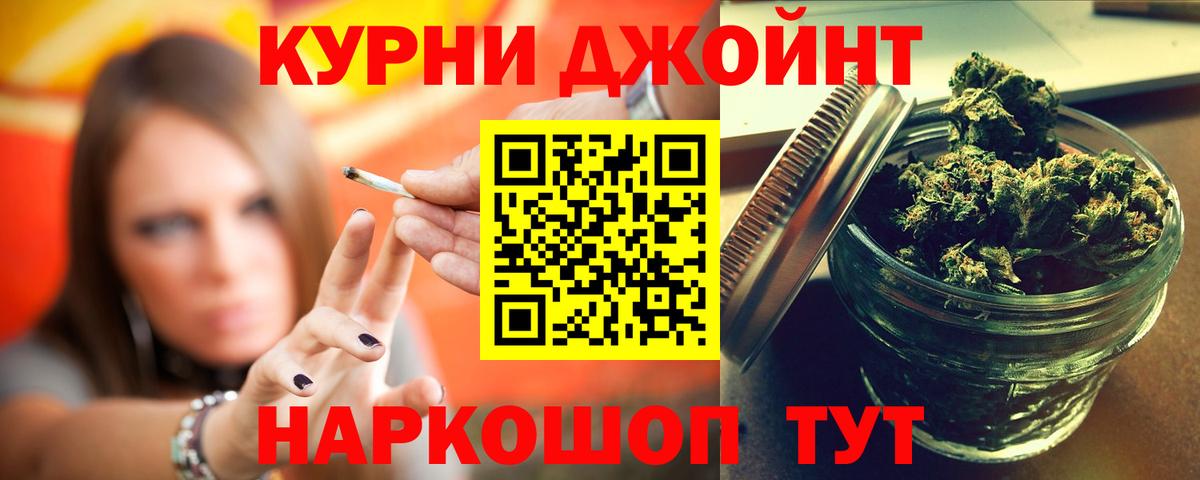 Бошки Шишки VHQ Аргун